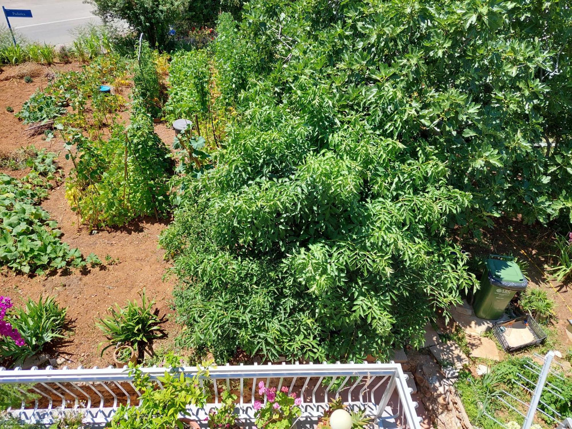 Apartmani Toni Vodice Exterior foto